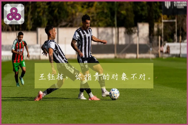 王钰栋，你指责的对象不对。
